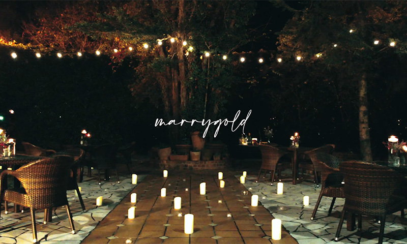 マリーゴールド熊本